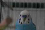 DSC_291206.JPG