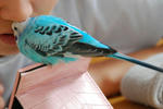 DSC_358901.JPG