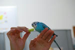 DSC_331503.JPG