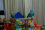 DSC_352002.JPG