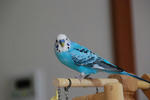 DSC_371305.JPG