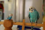 DSC_385303.JPG
