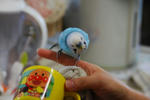 DSC_387201.JPG