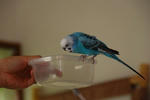 DSC_392003.JPG