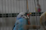 DSC_011404.JPG