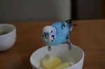 DSC_025511.JPG