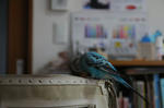 DSC_097802.JPG