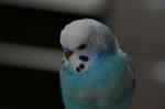 DSC_103606.JPG