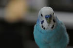 DSC_104104.JPG