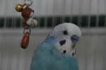 DSC_276513.JPG