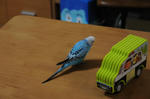 DSC_105805.JPG