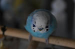 DSC_289015.JPG