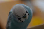 DSC_289917.JPG