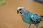 DSC_476101.JPG