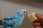 DSC_492402.JPG