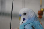 DSC_581303.JPG