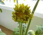 200805251322000.jpg