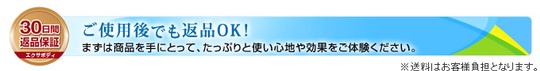 DVD使った後でも30日以内全額返金OK！米ヤーナリズムのエクササイズ