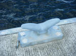 DSCF7752.JPG