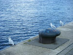 DSCF7755.JPG