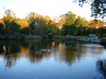 DSCF3594.JPG