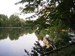 DSCF3601.JPG