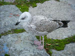 DSCF3683.JPG
