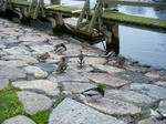 DSCF3685.JPG