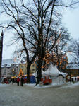 DSCF3733.JPG