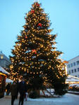 DSCF3741.JPG