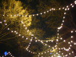 DSCF3753.JPG