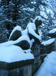 DSCF3957.JPG