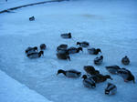 DSCF3965.JPG
