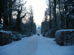 DSCF3971.JPG