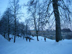DSCF3967.JPG