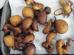 DSCF7810.JPG