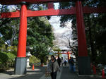 DSCF7812.JPG