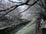 DSCF7814.JPG