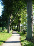 DSCF3122.JPG