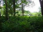 CIMG0125.JPG