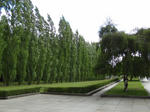 CIMG0131.JPG