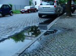 CIMG0195.JPG