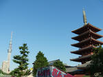 CIMG0479.JPG