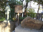 20080411a.jpg