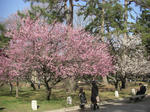 20090216c.jpg