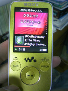 TS3H0025.jpg
