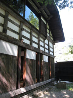 IMG_2468.jpg