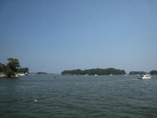 IMG_2590.jpg