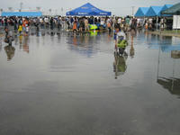 IMG_2920.jpg