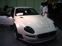 IMG_5289.jpg